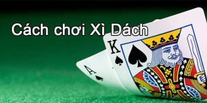 cách chơi xì dách luôn thắng